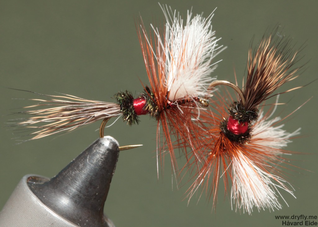 dryfly.me.2014.05.27.royal_wulff