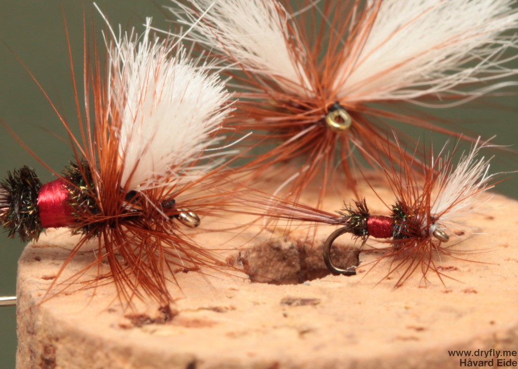 dryfly.me.2014.05.27.royal_wulff_small