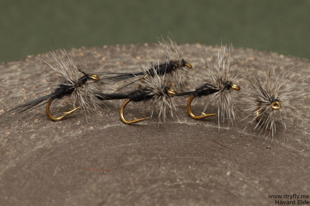 dryfly.me.2014.06.29.black_midge2_18