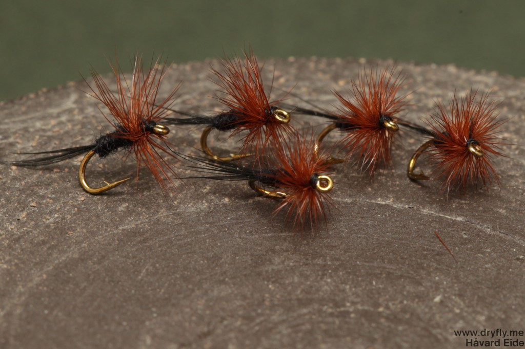 dryfly.me.2014.06.29.black_midge_18