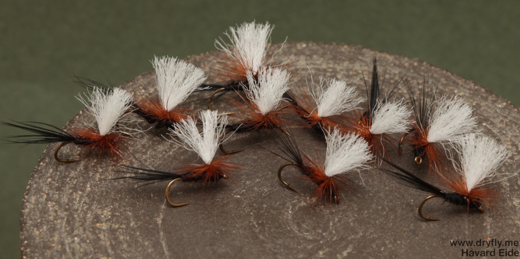 dryfly.me.2014.06.29.black_parachute