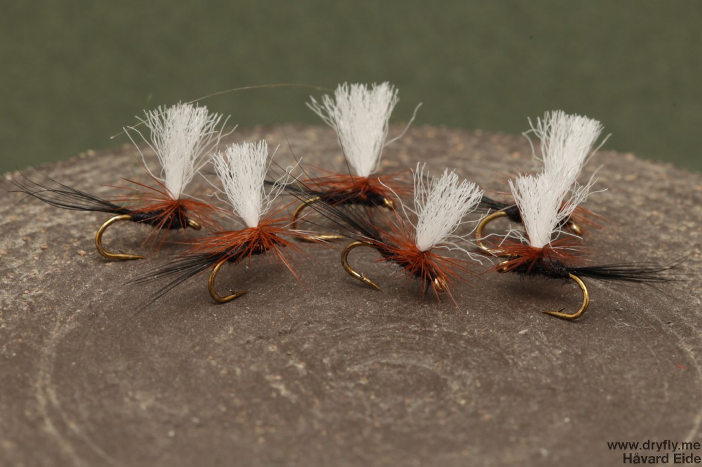 dryfly.me.2014.06.29.black_parachute_18