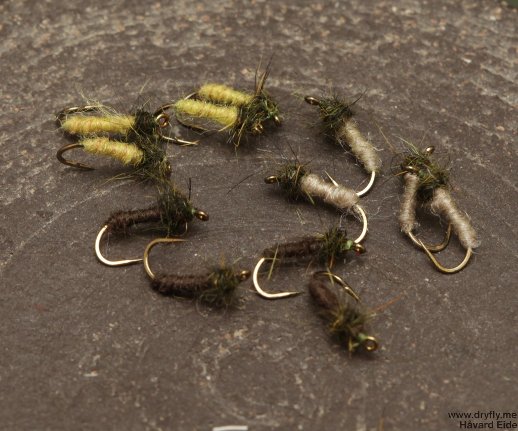 dryfly.me.2014.06.29.larva_18