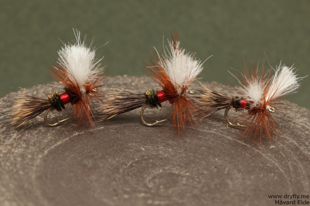 dryfly.me.2014.06.29.royal_wulff