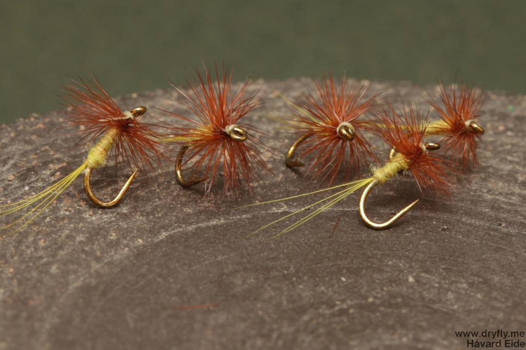 dryfly.me.2014.06.29.yellow_midge_18