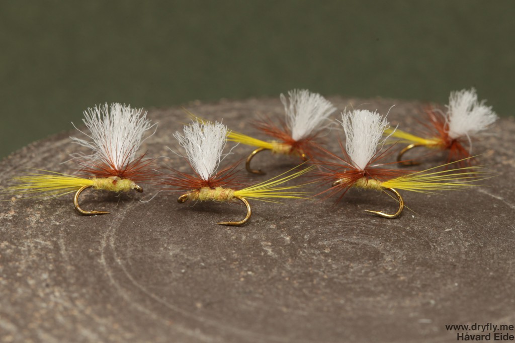 dryfly.me.2014.06.29.yellow_parachute_18