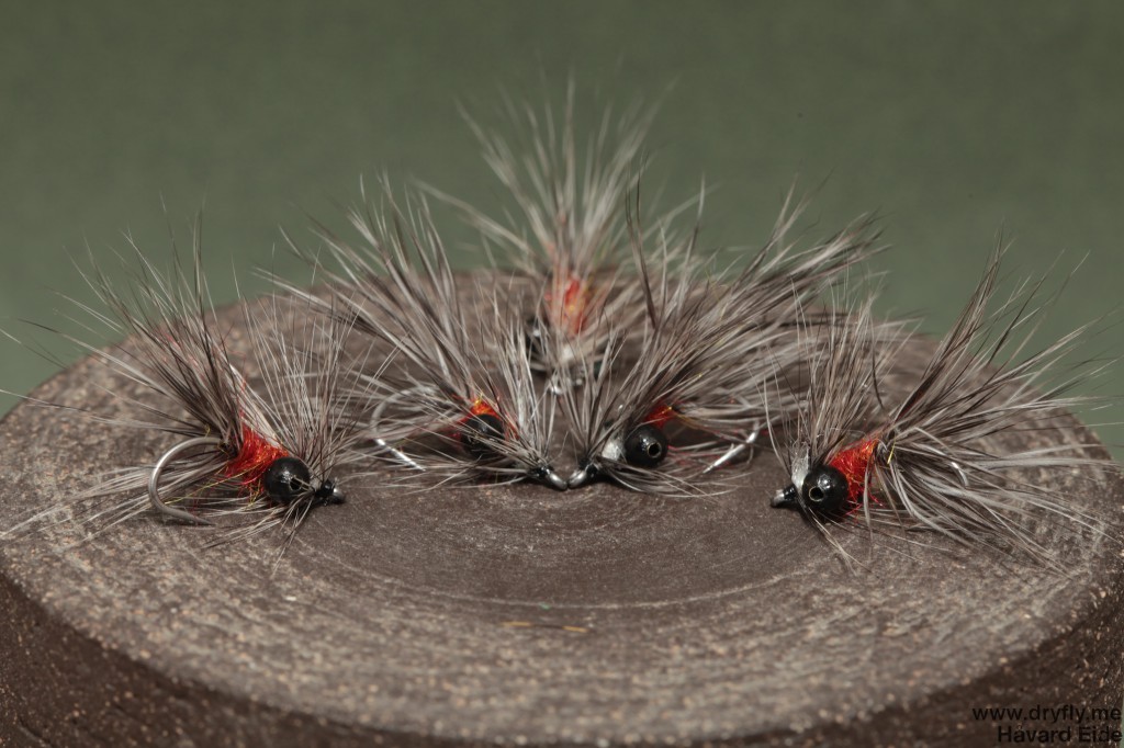 2014.08.12.vaskebjorn