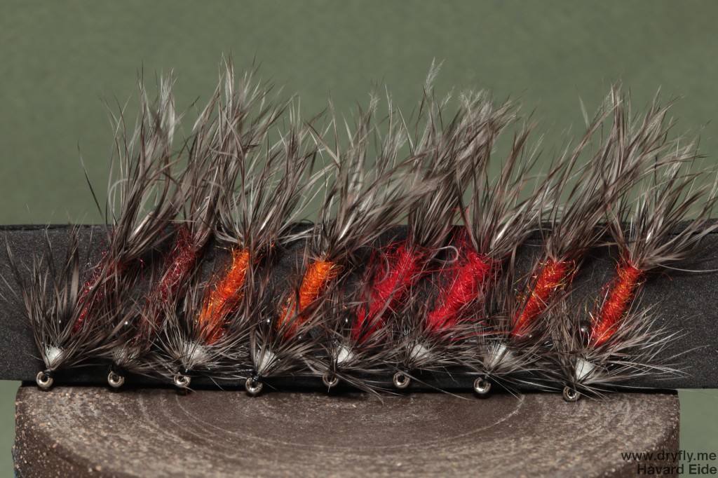 2014.08.16.vaskebjorn_all