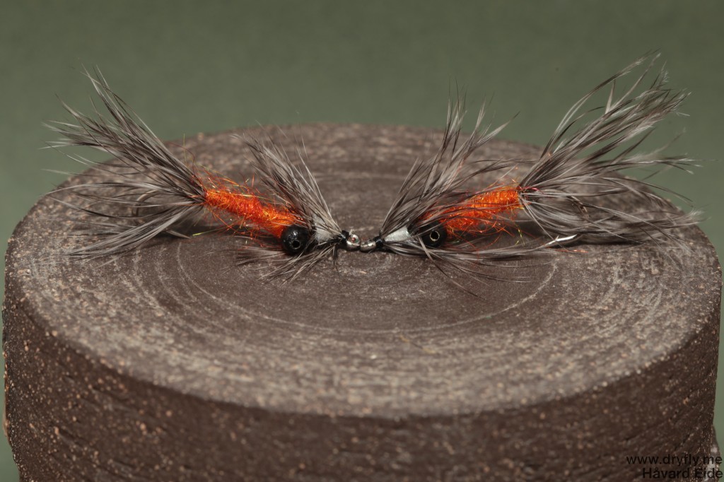 2014.08.16.vaskebjorn_burnt_orange