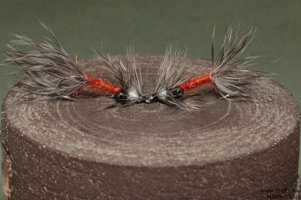 2014.08.16.vaskebjorn_gill_red