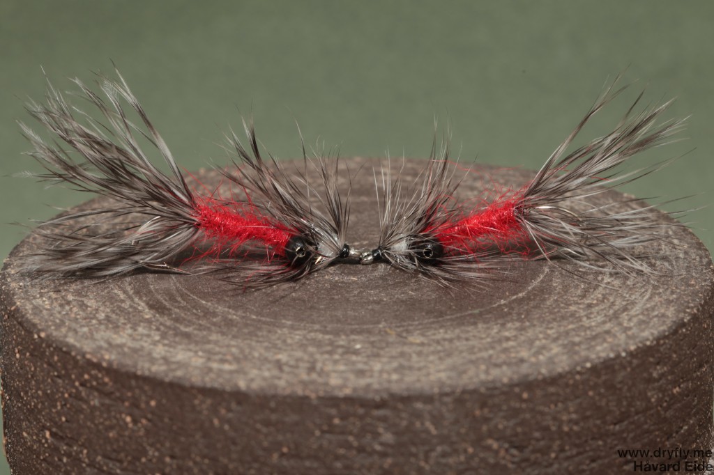 2014.08.16.vaskebjorn_red