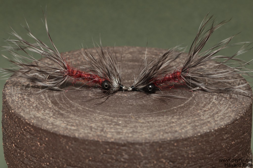 2014.08.16.vaskebjorn_rusty_brown