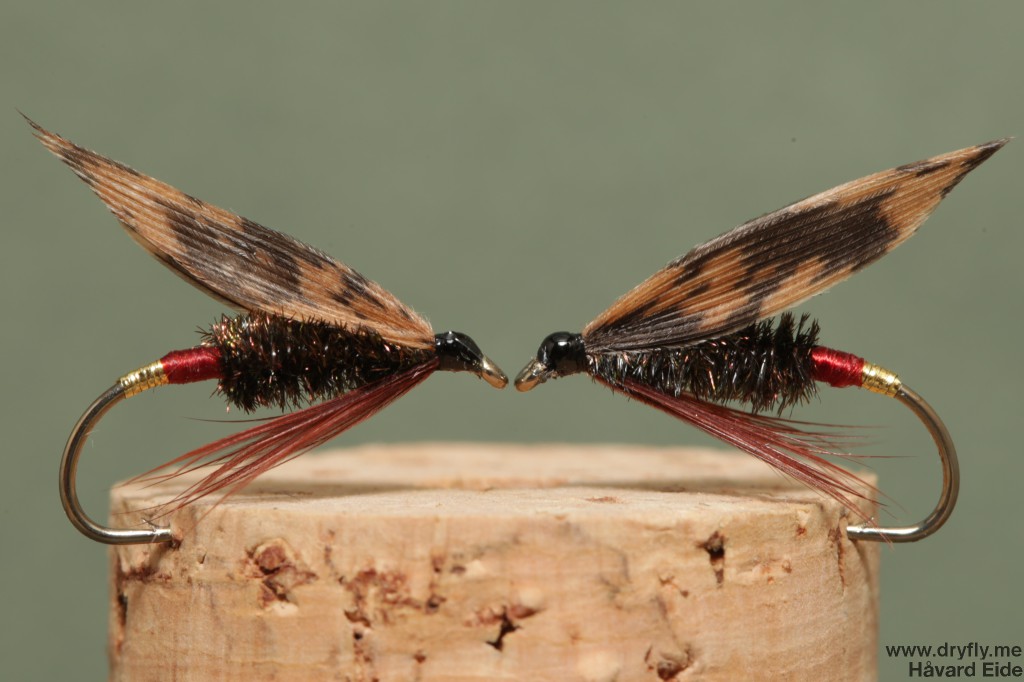 2014.08.29.dryfly.me.wet