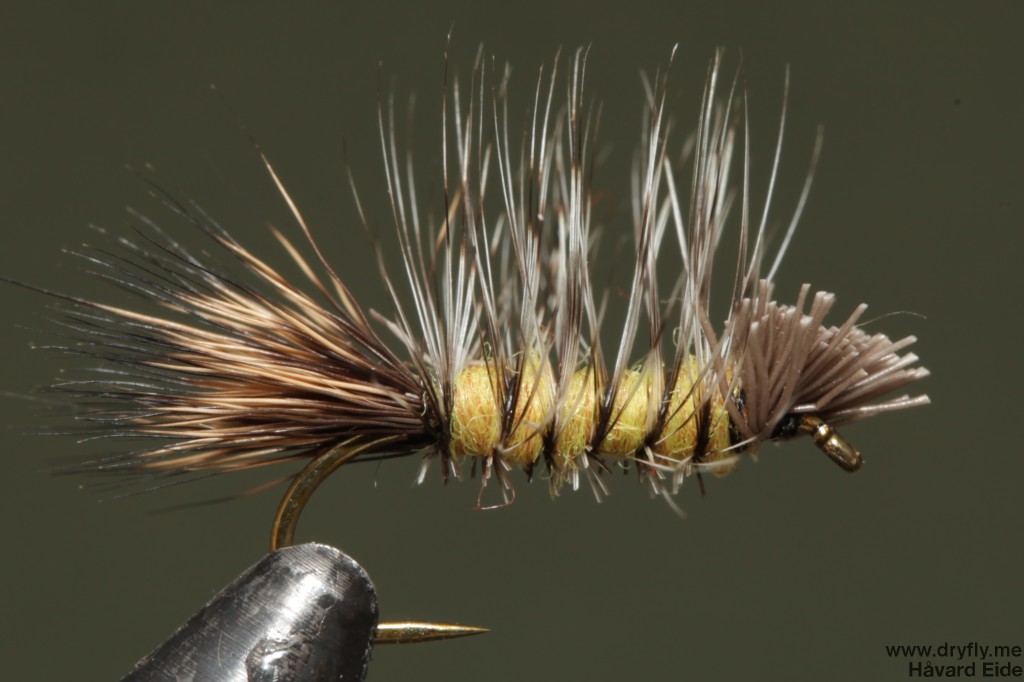 2014.08.31.dryfly.me.dyret_yellow