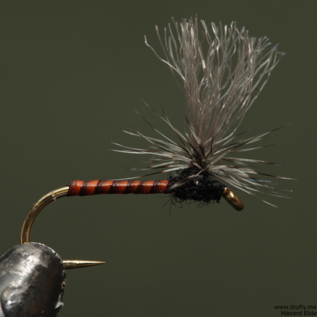 dryfly.me.2014.08.03.parachute_quill_body