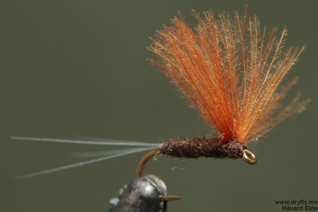 dryfly.me.2014.08.05.cdc_nohackle_front