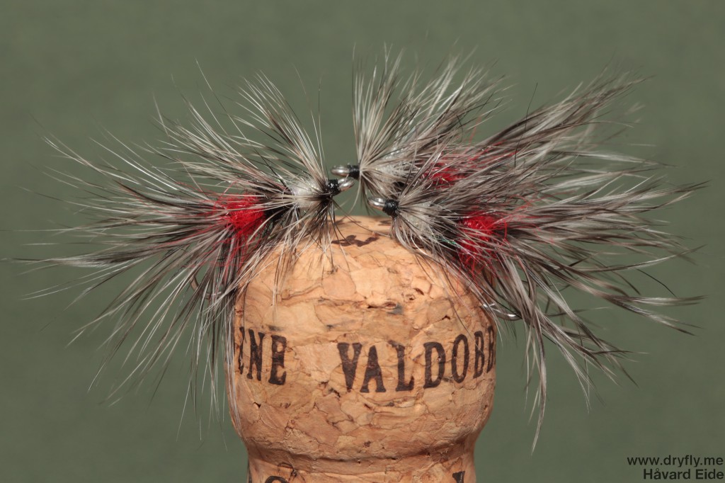 dryfly.me.2014.08.06.vaskebjorn