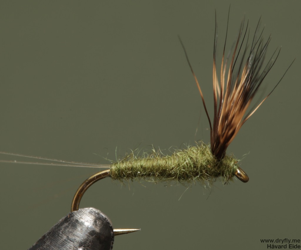 2014.09.04.dryfly.me.baetis_comparadun_16