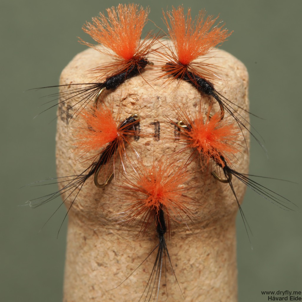 2014.09.04.dryfly.me.parachute_16