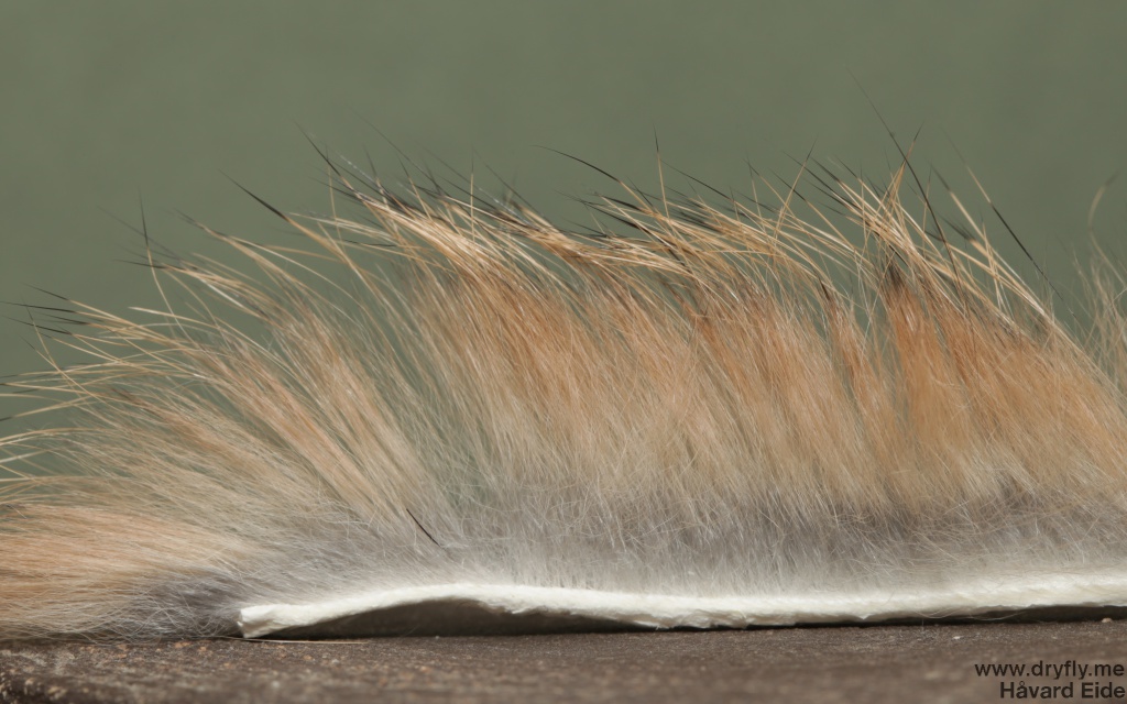 2014.10.18.dryfly.me.zonker