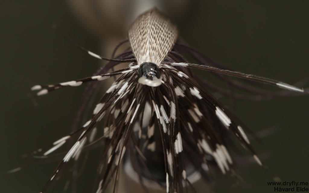 2014.10.26.dryfly.me.spey_front