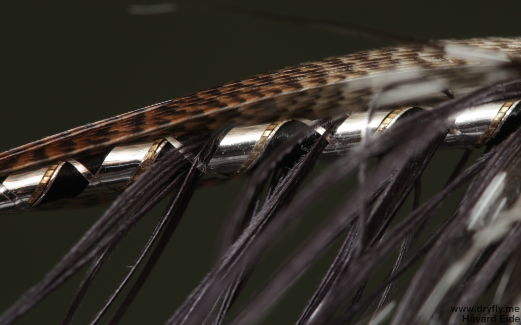 2014.10.26.dryfly.me.spey_rib