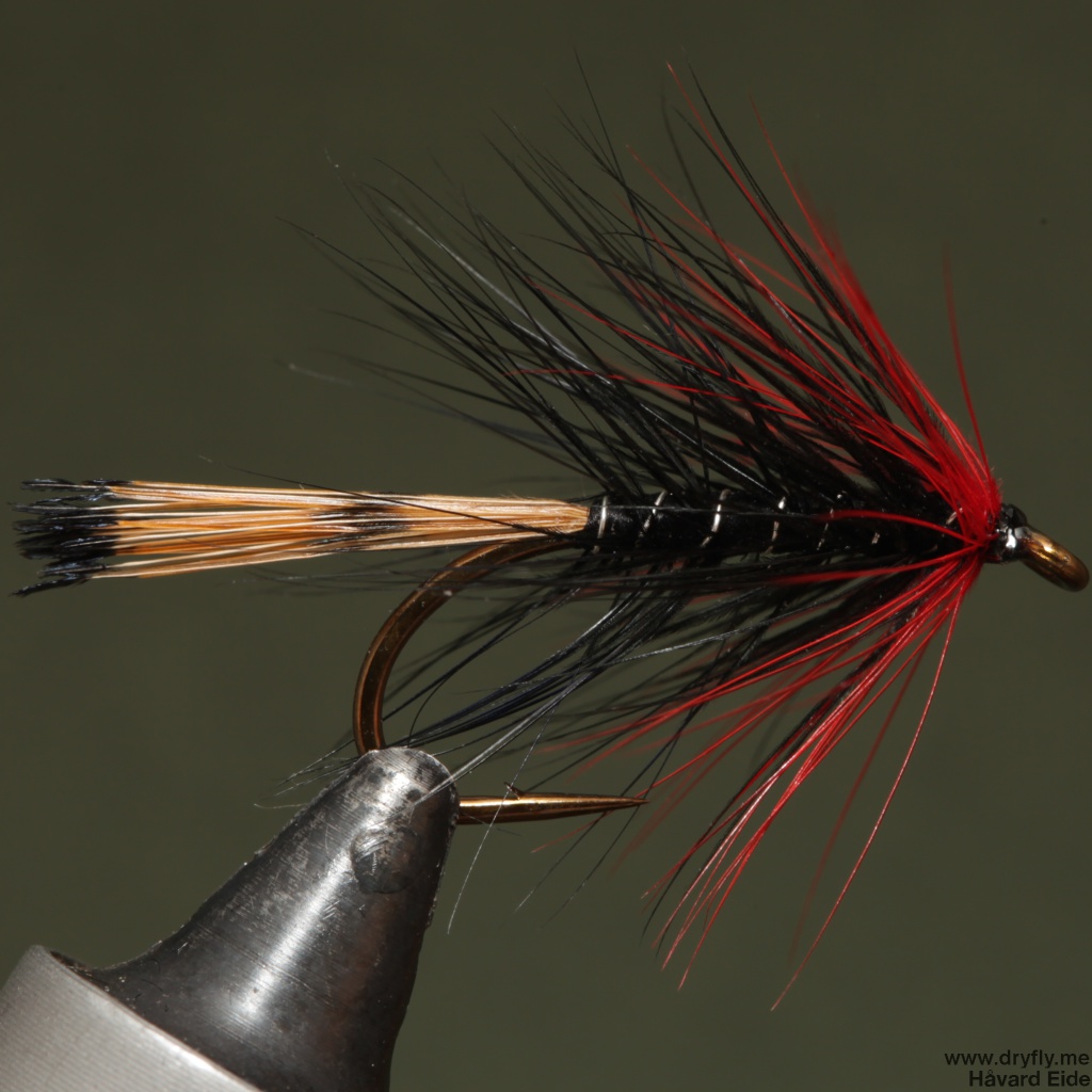 2014.10.28.dryfly.me.red_black_body_hackle