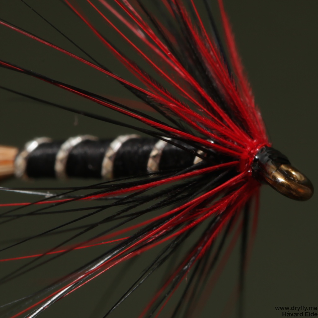 2014.10.28.dryfly.me.red_black_front