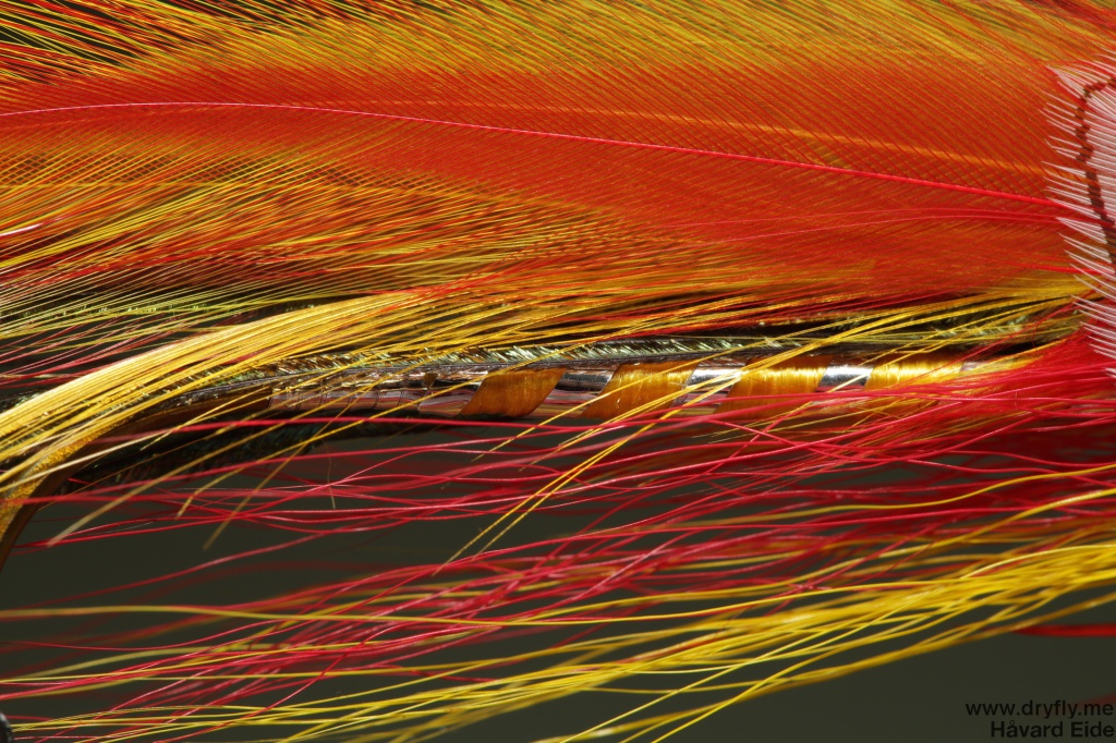 2014.10.29.dryfly.me.mickey_ghost_closeup