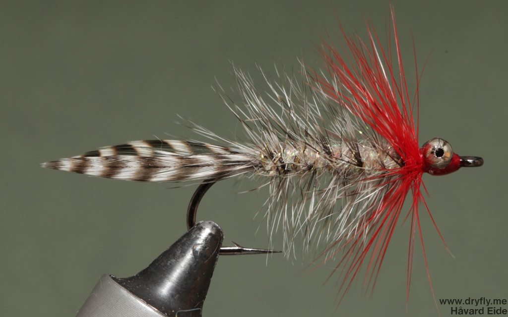 2014.11.01.dryfly.me.polar_magnus