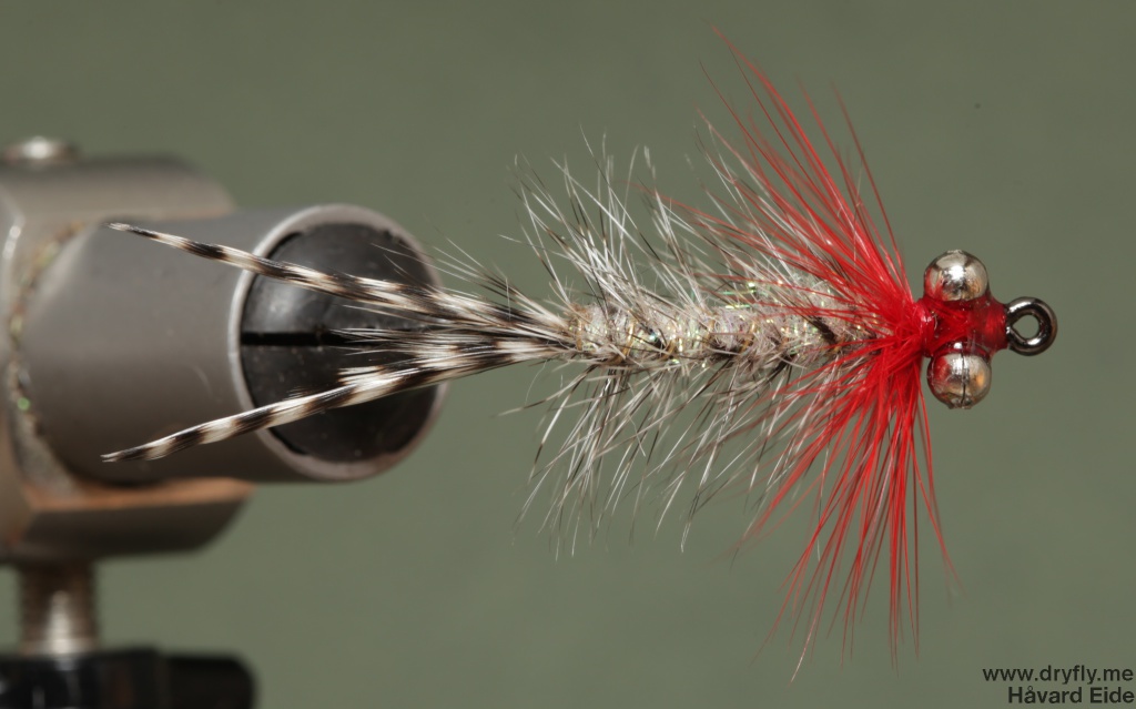 2014.11.01.dryfly.me.polar_magnus_top