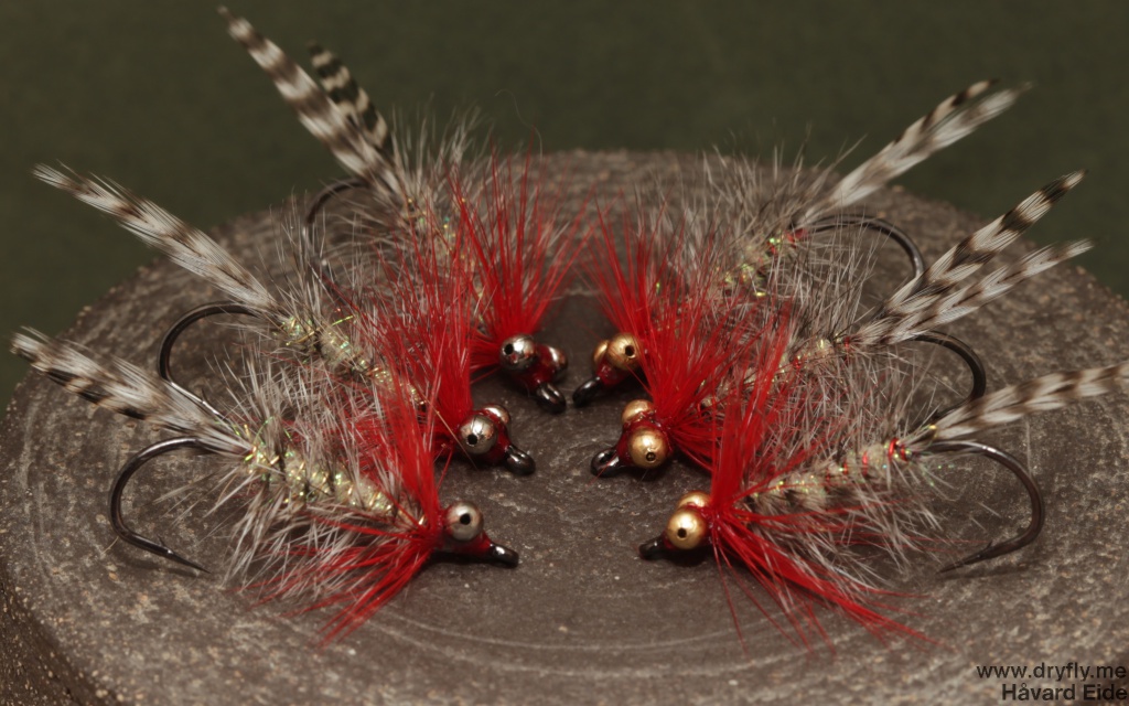 2014.11.03.dryfly.me.polar_magnus_batch