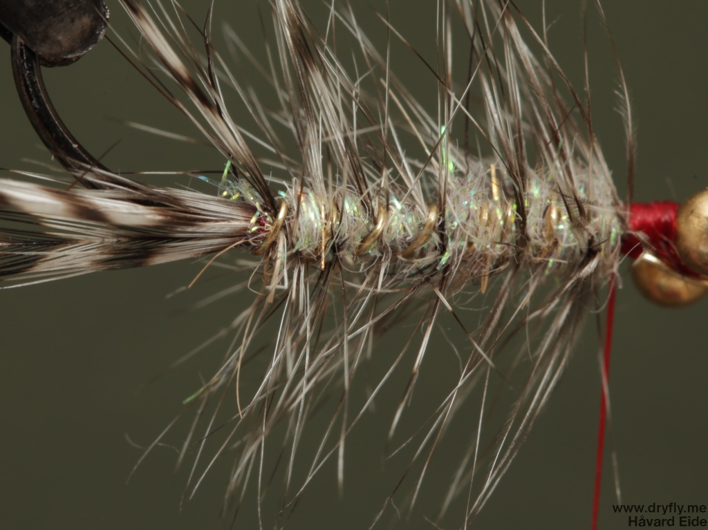 2014.11.11.dryfly.me.polar_magnus_sbs_10