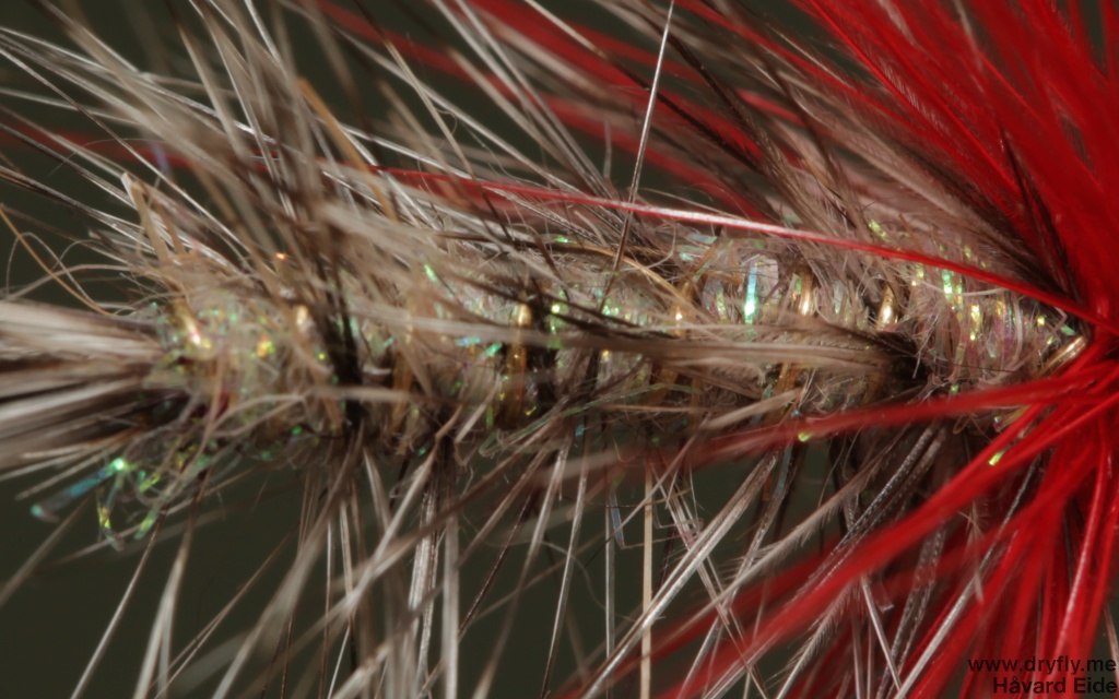 2014.11.11.dryfly.me.polar_magnus_sbs_11