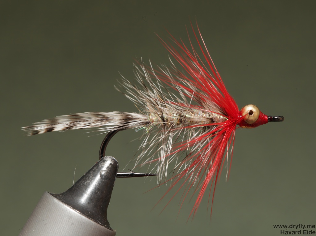 2014.11.11.dryfly.me.polar_magnus_sbs_14