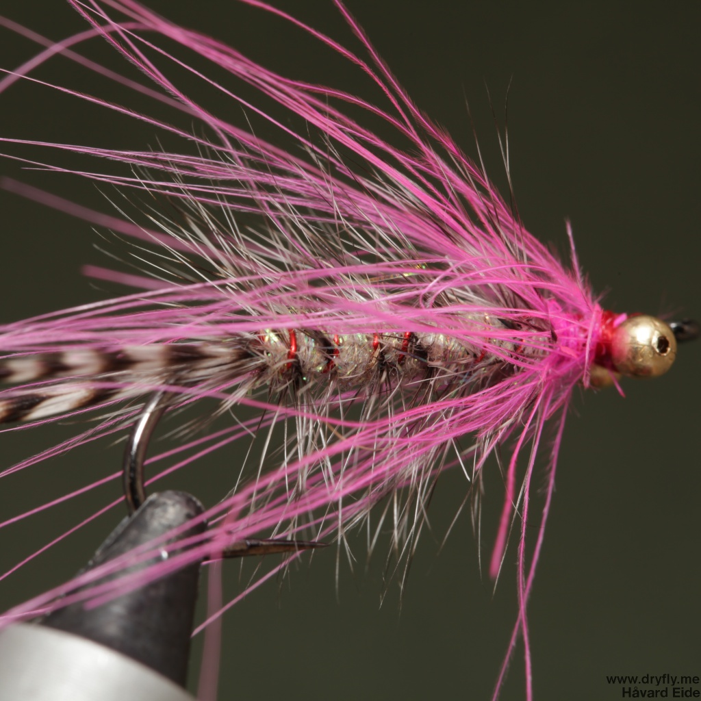 2014.11.11.dryfly.me.polar_magnus_sbs_16