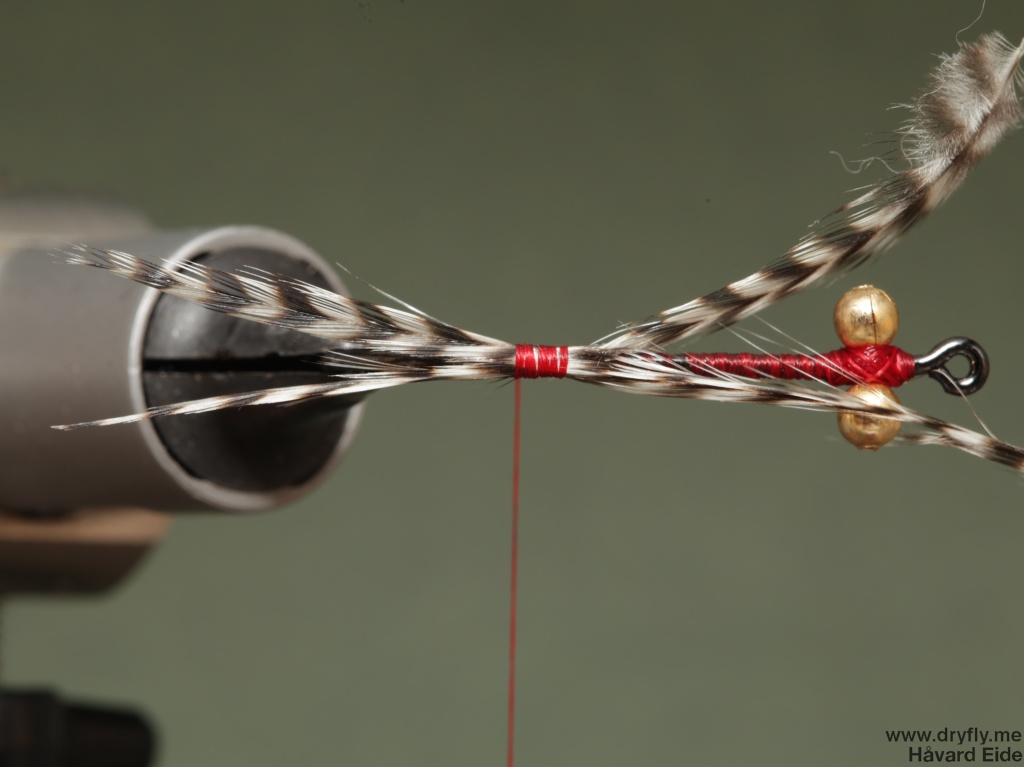 2014.11.11.dryfly.me.polar_magnus_sbs_4