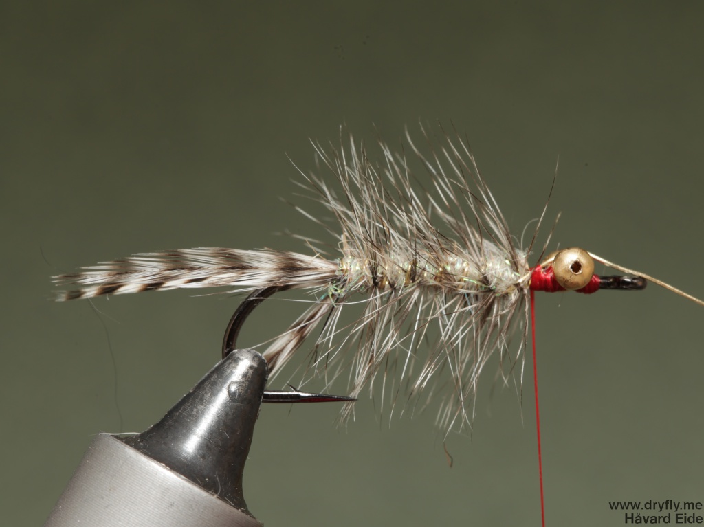 2014.11.11.dryfly.me.polar_magnus_sbs_9