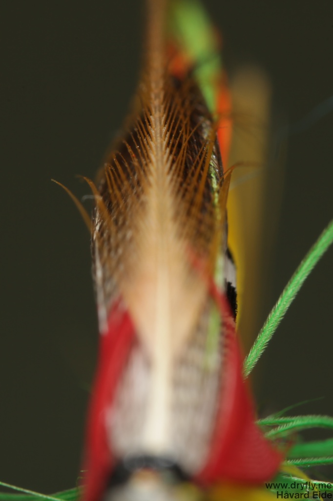 2014.11.25.dryfly.me.gh_front