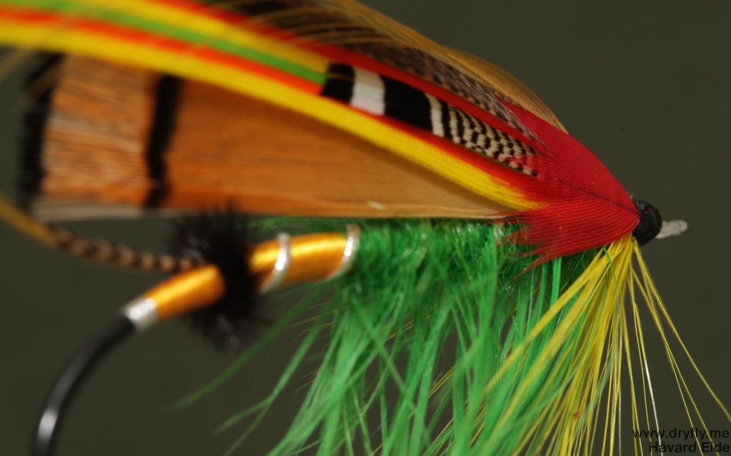 2014.11.25.dryfly.me.gh_rear