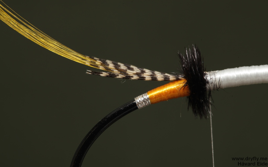 2014.11.25.dryfly.me.gh_tail