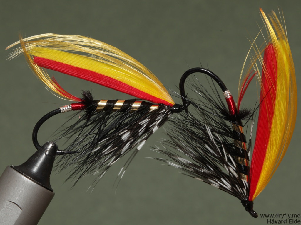 2014.12.02.kvitre.no.black_goldfinch