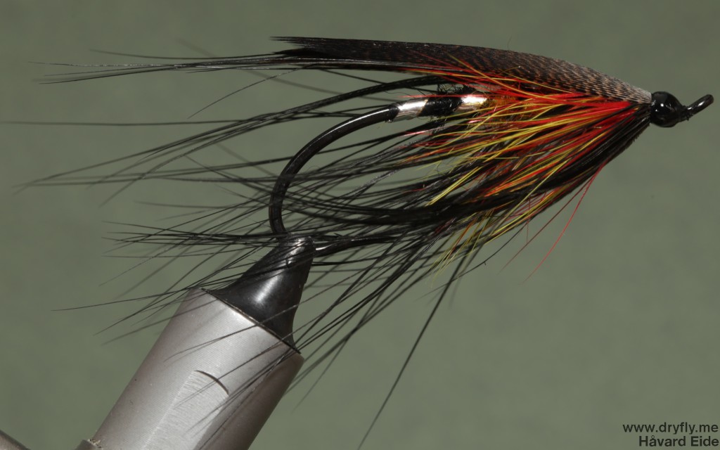2014.12.21.dryfly.me.sunturn_spey