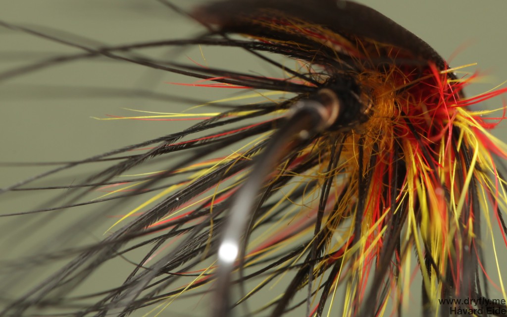 2014.12.21.dryfly.me.sunturn_spey_back