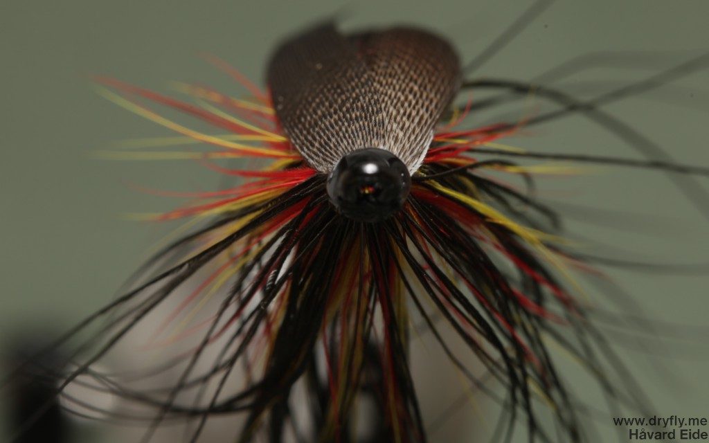 2014.12.21.dryfly.me.sunturn_spey_front