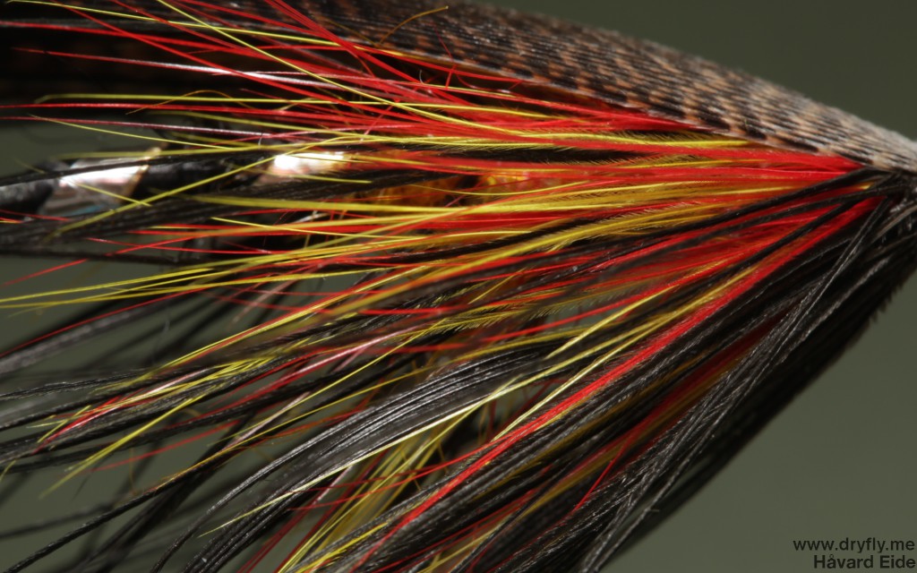 2014.12.21.dryfly.me.sunturn_spey_side