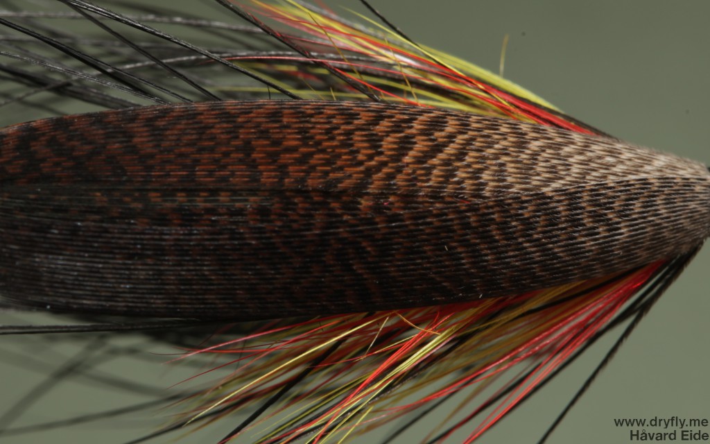 2014.12.21.dryfly.me.sunturn_spey_top