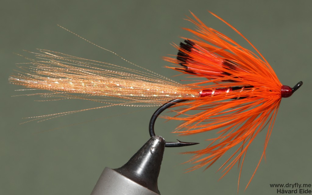 2014.12.25.dryfly.me.shrimp