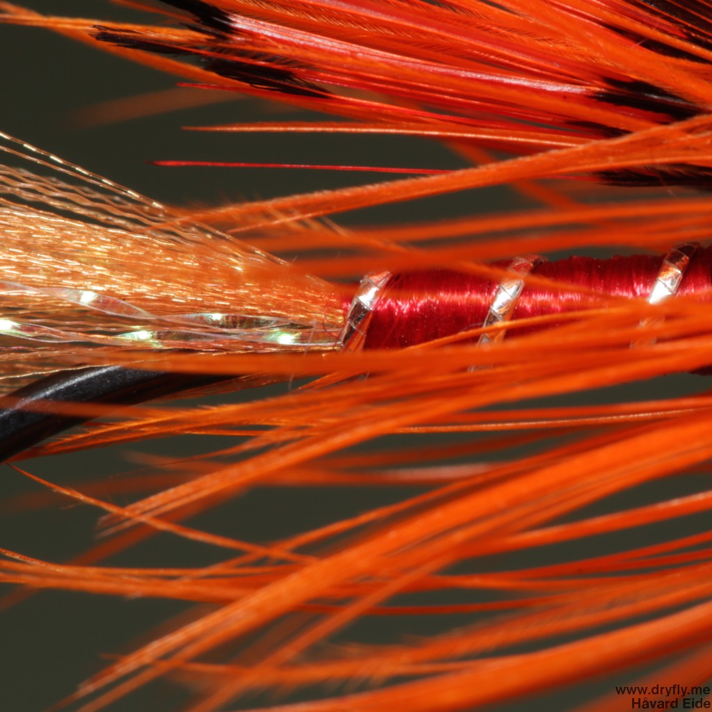 2014.12.25.dryfly.me.shrimp_close