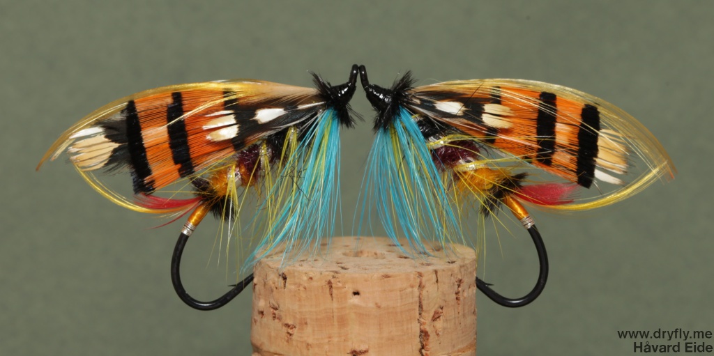 2014.12.62.kvitre.no.durham_ranger